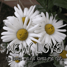 He Loves Me He Loves Me Not GIF - He Loves Me He Loves Me Not New Love GIFs