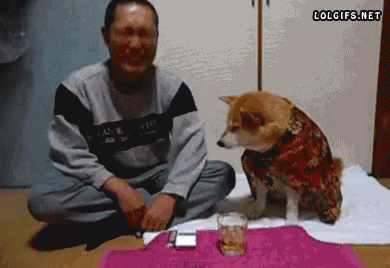 Drunk Dog GIF - Drunk Dog Nhanthe2 - Discover & Share GIFs