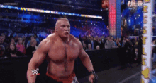 Wwe Brock Lesnar GIF - Wwe Brock Lesnar Wwe Wrestlemania GIFs
