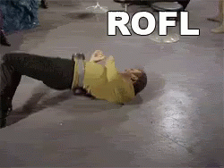 Rofl GIF - Rofl Rolling On GIFs