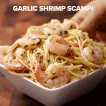 Garlic Shrimp Scamp Spaghetti GIF - Garlic Shrimp Scamp Spaghetti Pasta GIFs