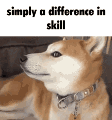 Simply A Difference GIF - Simply A Difference Skill GIFs