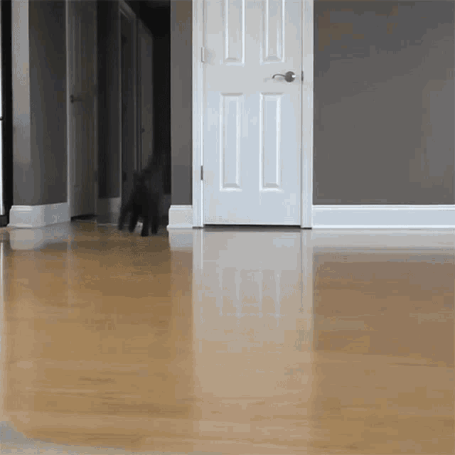 Running Towards You Cole GIF Running Towards You Cole Cole And