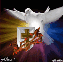 Espiritu Santo Holy Spirit GIF - Espiritu Santo Holy Spirit Amen GIFs