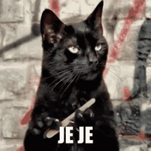 Cat Je Je GIF - Cat Je Je Nail File GIFs