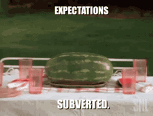 Expectations Subverted GIF - Expectations Subverted Expectations Subverted GIFs