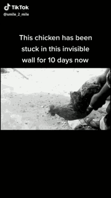 25cents Only Stuck GIF - 25cents Only Stuck Invisible Wall GIFs