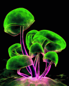 Mushroom Glowing GIF - Mushroom Glowing Changing Colors GIFs