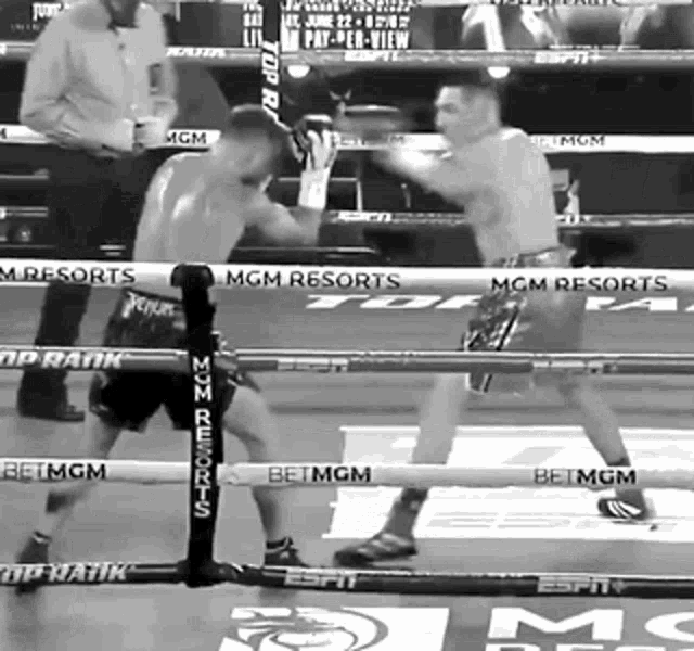 teofimo-lopez.gif