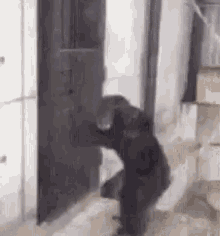 Banging On Door GIFs | Tenor