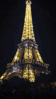 Eiffel Tower Paris GIF - Eiffel Tower Paris France GIFs