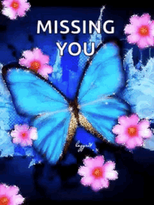Missing You Butterfly GIF - Missing You Butterfly Sparkles GIFs