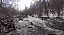 River Nature GIF - River Nature Water GIFs