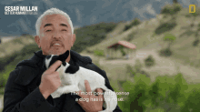 The Most Powerful Sense A Dog Has Is His Nose Cesar Millan GIF - The Most Powerful Sense A Dog Has Is His Nose Cesar Millan Cesar Millan Better Human Better Dog GIFs