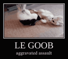 Le Goob Aggravated Assault GIF - Le Goob Aggravated Assault GIFs