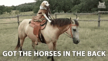 Got The Horses In The Back Old Town Road GIF - Got The Horses In The Back Old Town Road Dog Riding Horse GIFs