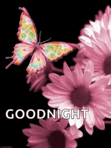 goodnight butterflies flowers sparkles