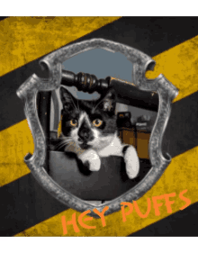 Hufflepuff Cat GIF - Hufflepuff Cat GIFs