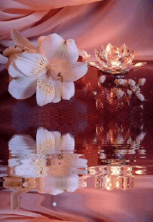 Floral Flower GIF - Floral Flower Water GIFs
