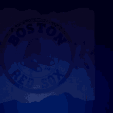 Boston Red Sox Go Red Sox GIF - Boston Red Sox Go Red Sox Lets Fucking Go GIFs