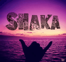 Shaka GIF - Shaka GIFs
