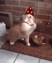Magic Cat GIF - Wizard Magic Cat Spell GIFs
