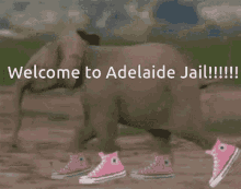 adelaide welcome