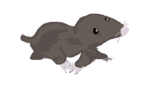 Mole Animated Gif
