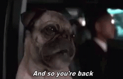 Mib Frank GIF - Mib Frank Dog GIFs