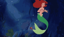 Sebastian Ariel GIF - Sebastian Ariel The Little Mermaid GIFs