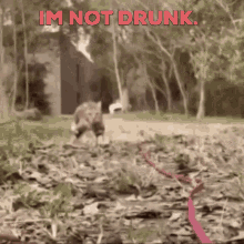 Not Drunk Im Not Drunk GIF - Not Drunk Im Not Drunk Drunk GIFs