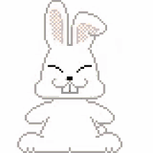 rabbit carrot