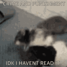 Crime And Punishment GIF - Crime And Punishment GIFs