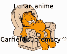 Lunaranime Lunar_anime GIF - Lunaranime Lunar_anime Garfield GIFs