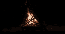 campfire bonfire