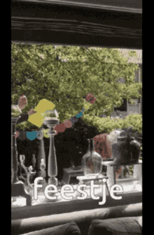 Feestje Party GIF - Feestje Party Going To The Party GIFs