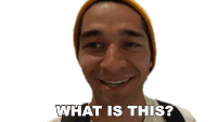 What Is This Wil Dasovich Sticker - What Is This Wil Dasovich Whats Going On Stickers