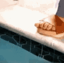 Pool Cold GIF - Pool Cold Just Checking GIFs