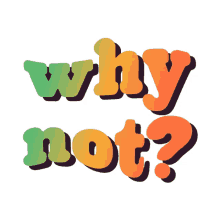 why not why curious why not why curious