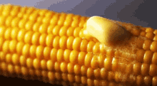 Corn Butter GIF - Corn Butter Melt GIFs