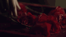 وردة حمراء مقدمة ليالي أوجيني رومنسية مسلسلات رمضان يد GIF - Romantic Red Rose Eugenie Nights Series GIFs