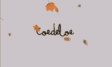 Toedeloe GIF - Toedeloe GIFs