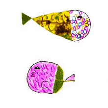 tank fish