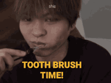 Tooth Brushing Time GIF - Tooth Brushing Tooth Brush GIFs