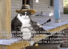Cat Banjo GIF - Cat Banjo Life On The Farm GIFs