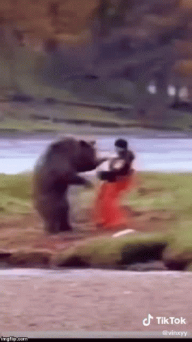 Russia Bear GIF - Russia Bear Fight GIFs