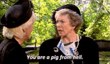 Steele Magnolias GIF - Steele Magnolias You Are A Pig From Hell GIFs