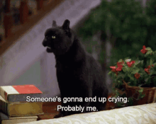 Same GIF - Emotional Sabrina Cat GIFs