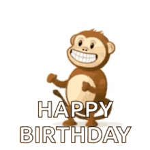 Excited Monkey GIF - Excited Monkey Happy GIFs
