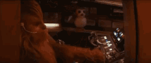 Porg Chewbacca GIF - Porg Chewbacca Star GIFs